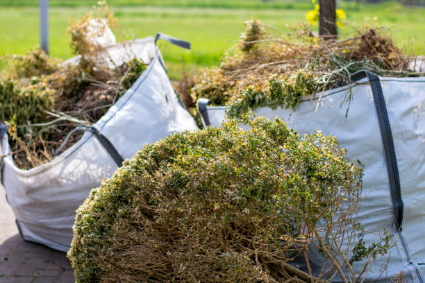 Trusted Waukesha, WI Junk Removal Services Experts